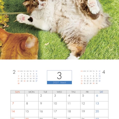 【予約販売】 猫のにゃろめっこ 2027年 壁掛け カレンダー KK27100