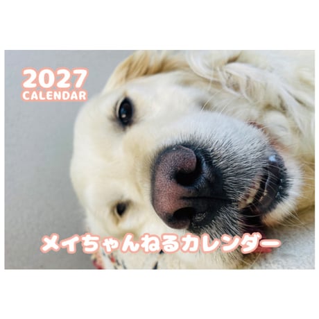 【予約販売】 ゴールデンレトリバー メイちゃんねる 犬 2027年 壁掛け カレンダー KK27145