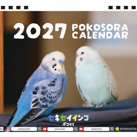 【予約販売】 ポコそら 鳥 インコ 2027年 卓上 カレンダー TA27064