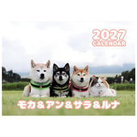 【予約販売】 柴犬 モカ＆アン＆サラ＆ルナ 2027年 壁掛け カレンダー KK30176