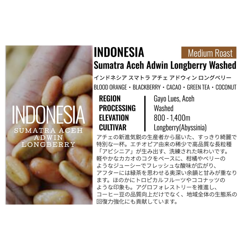 Mocca Friends アナログ盤 美品 送料込 アジア インドネシア Mocca Friends アナログ盤 美品 送料込 アジア インドネシア Mocca