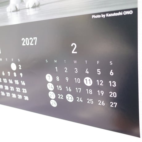 2027年 猫カレンダー(壁掛け)【ダイナミック】　4906327907212　×1部