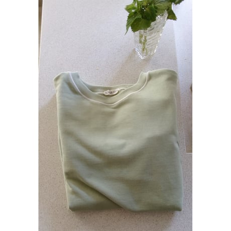 OLD FOLK HOUSE / Plain Sweatshirt *Sage green