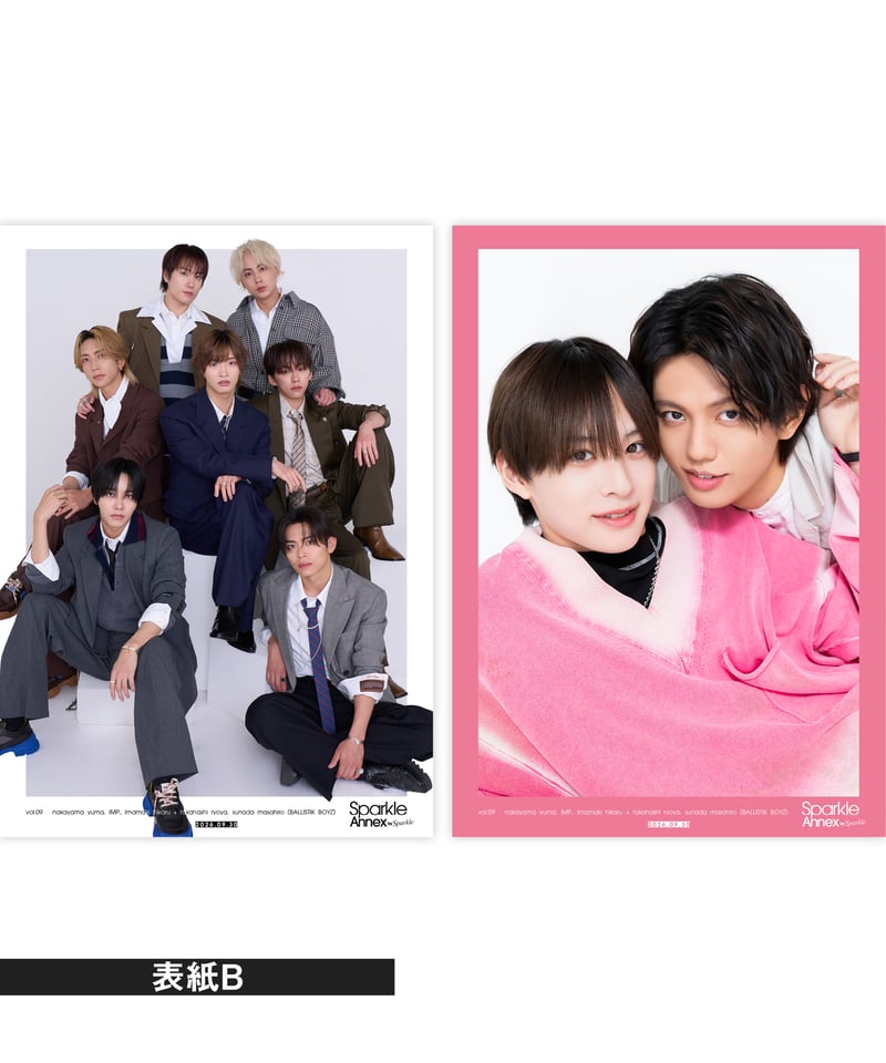 Sparkle Annex vol.09』今牧輝琉×高橋怜也 フォトカード付 _ 表紙B：I