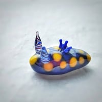 サガミリュウグウウミウシ ☆複数ご注文の際は予めご連絡ください