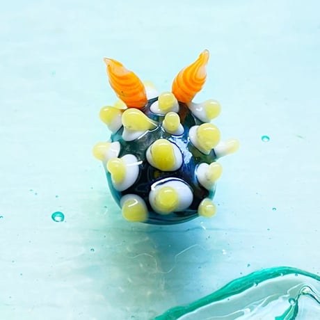 フリエリイボウミウシ ☆複数ご注文の際は予めご連絡ください