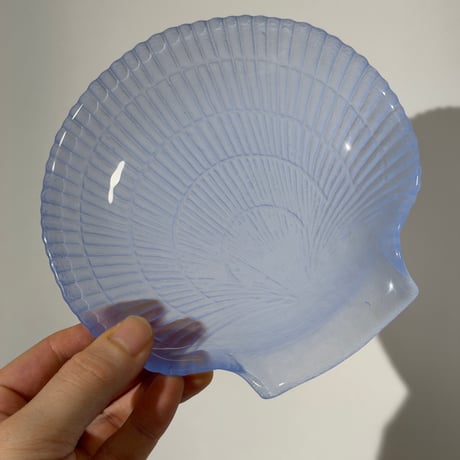 Glass Shell Plate