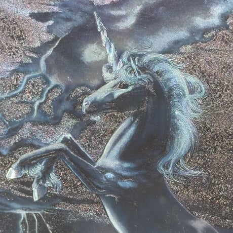 Hologram Unicorn Frame