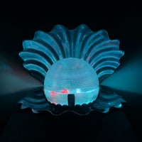 Metalic Touch Shell Lamp