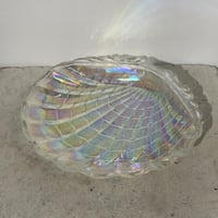 Aurora Shell Plate