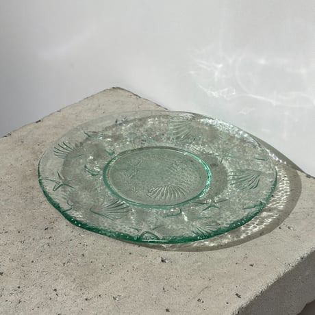 Clear Shell Plate