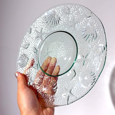 Clear Shell Plate