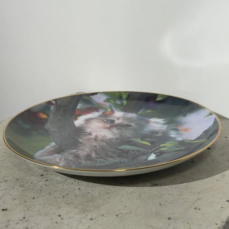 Pretty Cat Dish