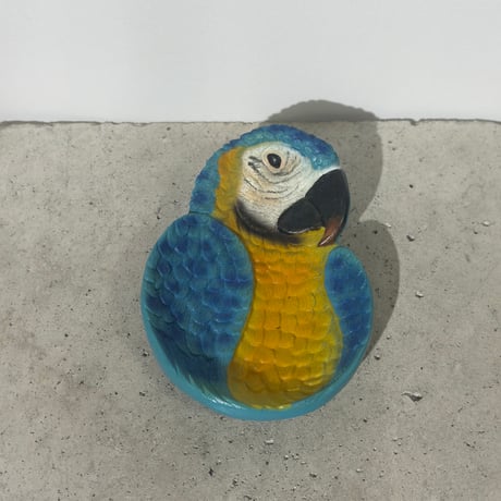 Tropical Bird Trinket Tray