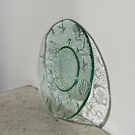 Clear Shell Plate