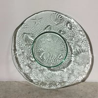 Clear Shell Plate