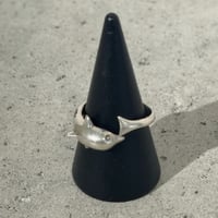 Spiral Dolphin Ring