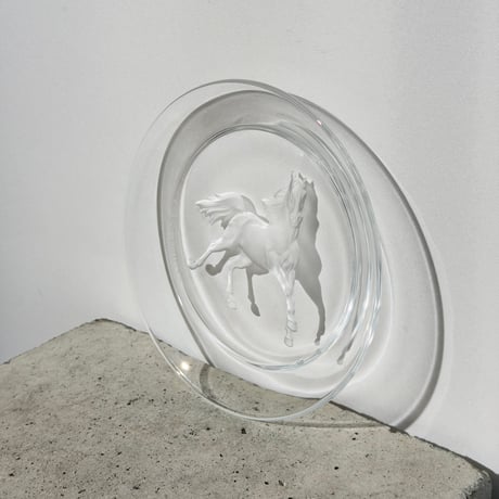 Horse Glass Plate