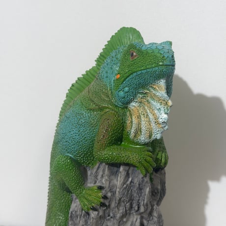 Green Iguana Object