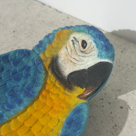 Tropical Bird Trinket Tray