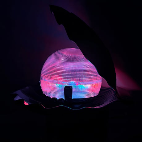 Metalic Touch Shell Lamp