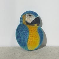 Tropical Bird Trinket Tray