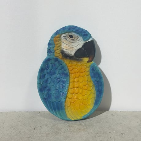 Tropical Bird Trinket Tray