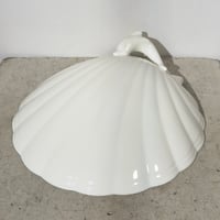 Dolphin & Shell Tray