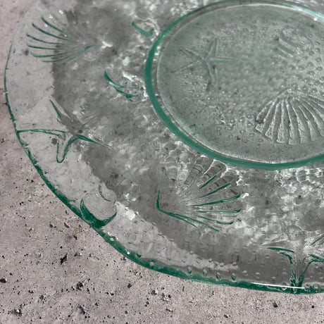 Clear Shell Plate