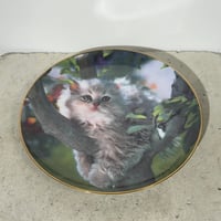 Pretty Cat Dish