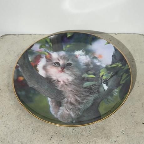 Pretty Cat Dish