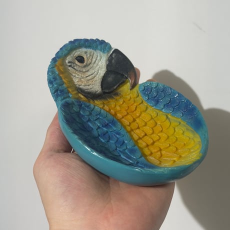 Tropical Bird Trinket Tray
