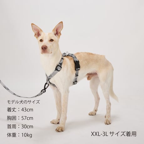 MANDARINE BROTHERS REFLECTIVE HARNESS