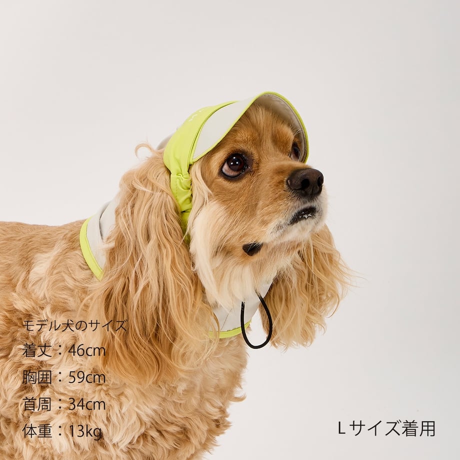6a5202215c88a2bac2bd3eb6