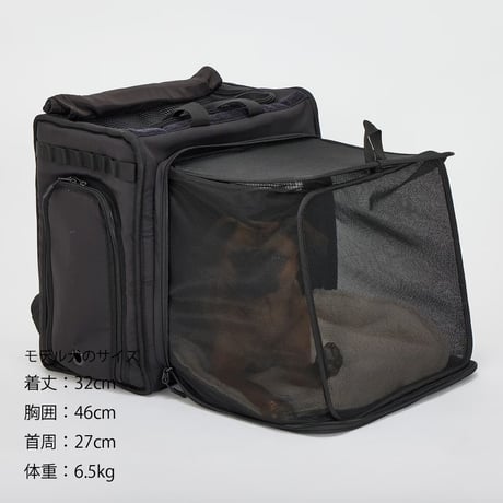 MANDARINE BROTHERS CARRY IN MAT