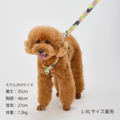 MANDARINE BROTHERS REFLECTIVE HARNESS