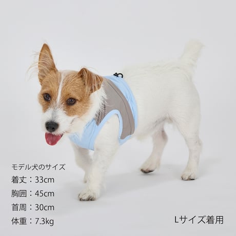 MANDARINE BROTHERS COOLING VEST