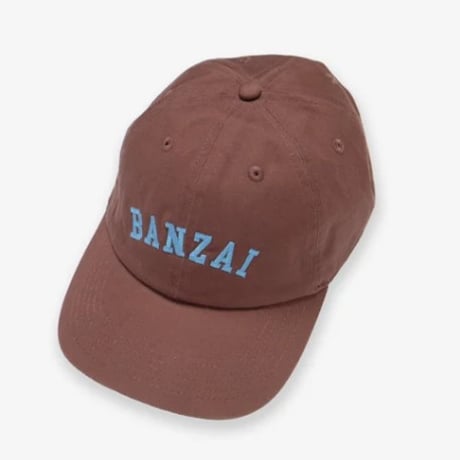 SALVAGE PUBLIC 6Panel Cap (BANZAI)