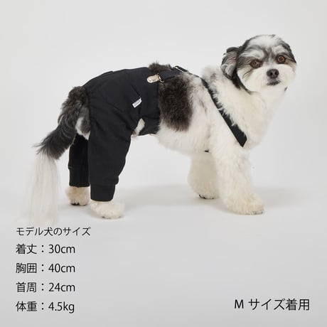 MANDARINE BROTHERS SUSPENDER PANTS