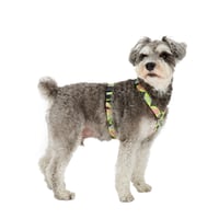 MANDARINE BROTHERS REFLECTIVE HARNESS