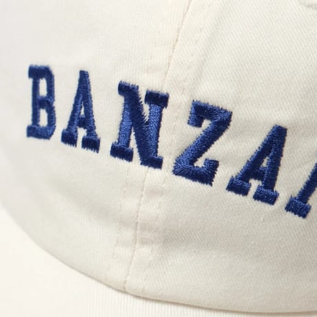 SALVAGE PUBLIC 6Panel Cap (BANZAI)