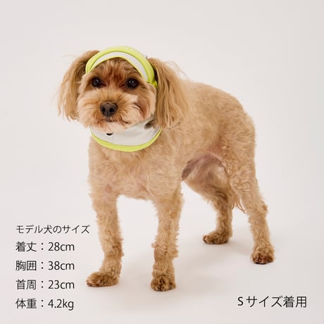 MANDARINE BROTHERS 【NEW COLOR】UV PROTECTION SNOOD