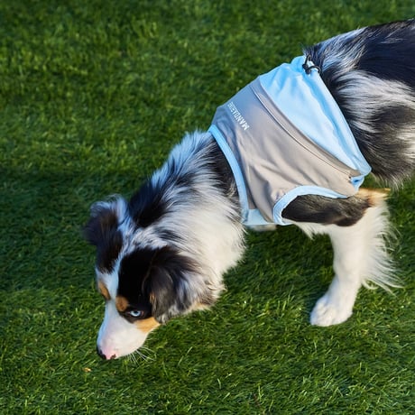 MANDARINE BROTHERS COOLING VEST