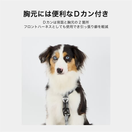 MANDARINE BROTHERS REFLECTIVE HARNESS