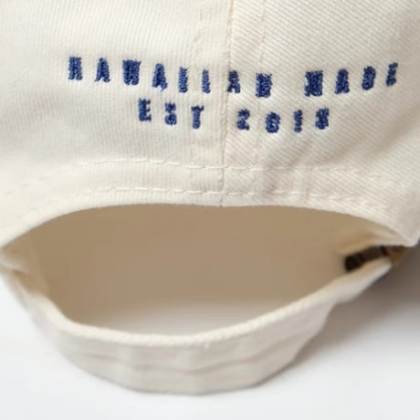 SALVAGE PUBLIC 6Panel Cap (BANZAI)