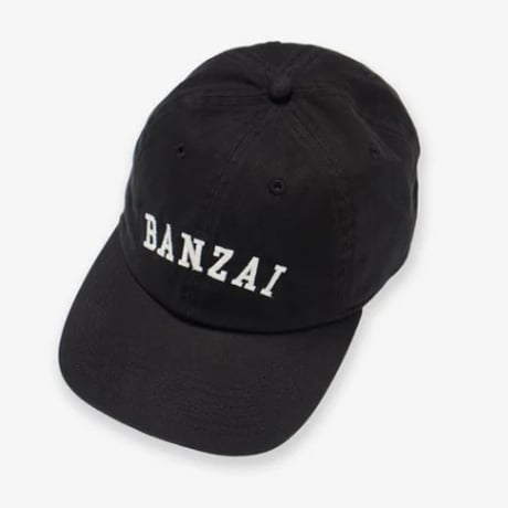 SALVAGE PUBLIC 6Panel Cap (BANZAI)