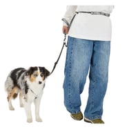 MANDARINE BROTHERS REFLECTIVE HANDS FREE LEASH