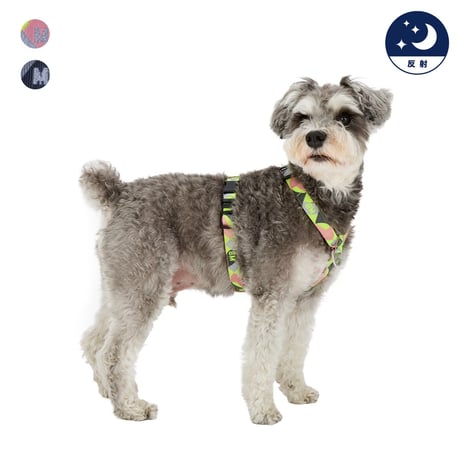 MANDARINE BROTHERS REFLECTIVE HARNESS