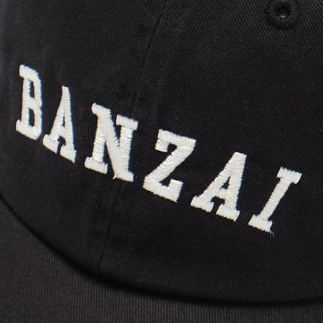 SALVAGE PUBLIC 6Panel Cap (BANZAI)