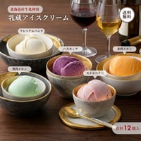 乳蔵 アイスクリーム 12個入 （110131） 江戸屋 プレミアムバニラ ハスカップ メロン2種 ストロベリー 北海道産ミルク 贅沢アイス ギフト お歳暮